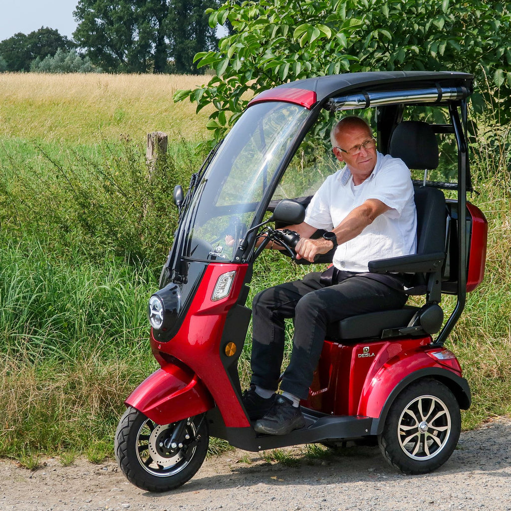 Deisla DS3-25 Dreirad mit Dach und Wetterschutz (25 km/h)